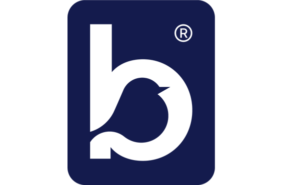 Bluebird Care North Hampshire & West Berkshire - A company logo
