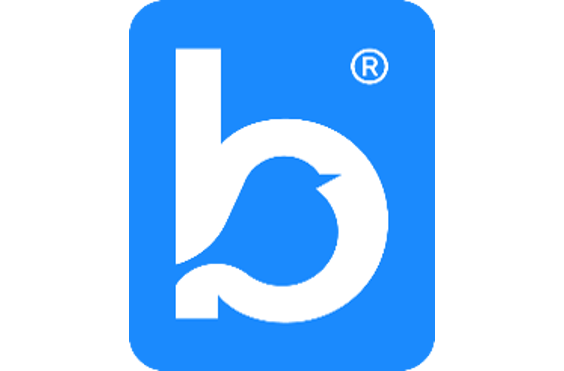 Bluebird Care (Brighton & Hove) - A company logo