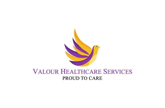 Valour Healthcare Services - A company logo