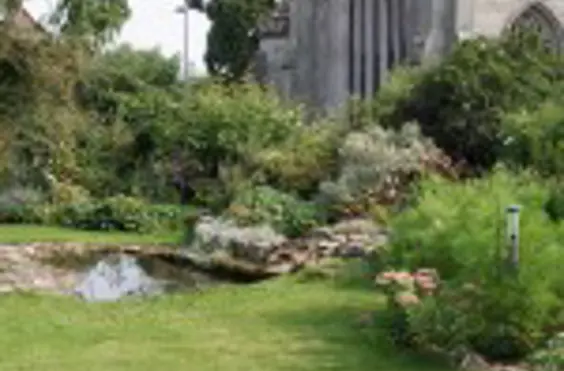 Nazareth Lodge - Photo of the garden where applicable