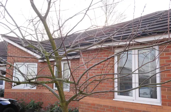 53a Ipstones Avenue - An outside view of the home