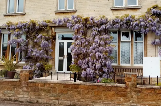 Wisteria House Residential Home - Rutland - An outside view of the home