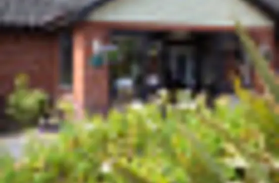 Olive House - An outside view of the home