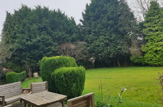 Ravensworth Care Home - Photo of the garden where applicable