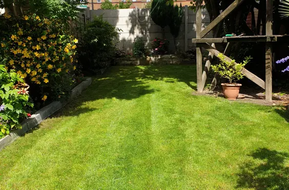 Qualities Services Ltd - Photo of the garden where applicable