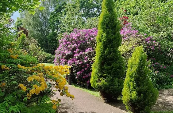 Hazeldene House - Photo of the garden where applicable