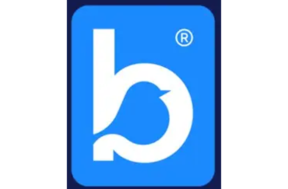 Bluebird Care (Waltham Forest) - A company logo