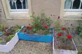 Photo of the garden where applicable