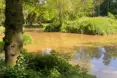 Woodcote Hall - Photo of the garden where applicable
