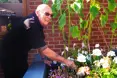 Photo of the garden where applicable