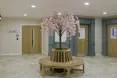 Little Heath Care & Support - An additional photo