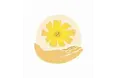 Lehope Care Limited - A company logo