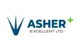 Asher Excellent - A company logo
