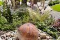 Photo of the garden where applicable