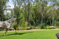 Photo of the garden where applicable