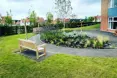 Photo of the garden where applicable