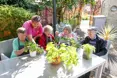 Photo of the garden where applicable