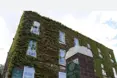 Hamilton Park Nursing Home - An outside view of the home
