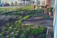 Photo of the garden where applicable