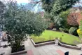 Photo of the garden where applicable