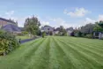 Photo of the garden where applicable
