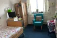 An additional photo