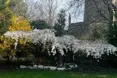 Hillcrest Residential Home - Photo of the garden where applicable