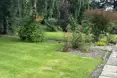 Photo of the garden where applicable