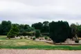 An additional photo