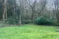 Photo of the garden where applicable