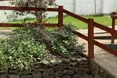 Photo of the garden where applicable