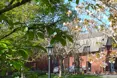 Tyspane - An outside view of the home
