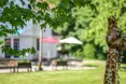 An additional photo