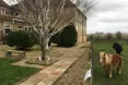 Chimnies Residential Care Home - An outside view of the home