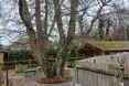 Photo of the garden where applicable