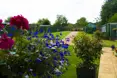 Photo of the garden where applicable