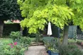 Avens Limited - Photo of the garden where applicable