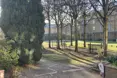 St Raphael's - Photo of the garden where applicable