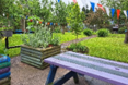 Photo of the garden where applicable