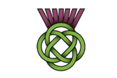 Celtic Care Services Limited - A company logo