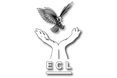 Eagle Care Ltd - A company logo