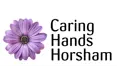 Caring Hands - A company logo