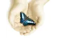 Divine Care Provider Ltd - A company logo