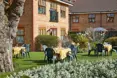 Photo of the garden where applicable
